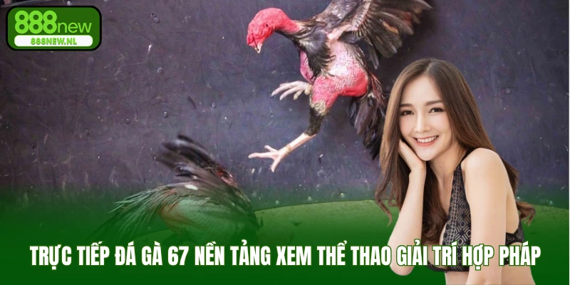 trực tiếp đá gà 67